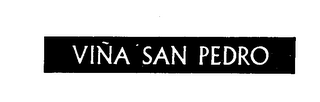 VINA SAN PEDRO