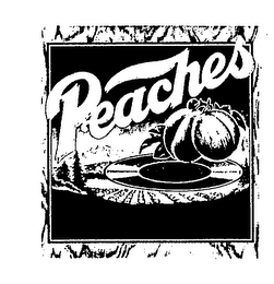 PEACHES