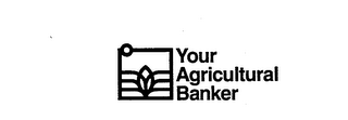 YOUR AGRICULTURAL BANKER