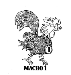 MACHO 1 1