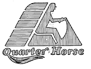 QUARTER HORSE