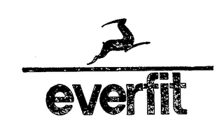EVERFIT trademark