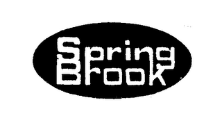 SPRING BROOK