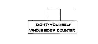 DO-IT-YOURSELF WHOLE BODY COUNTER