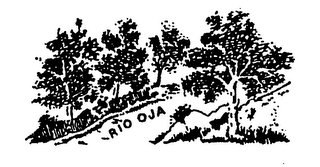 RIO OJA