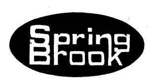 SPRING BROOK