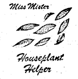 MISS MISTER HOUSEPLANT HELPER