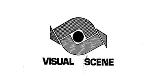 VISUAL SCENE