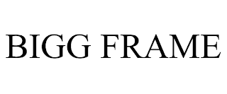 BIGG FRAME trademark