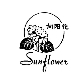 SUN FLOWER