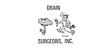 DRAIN SURGEONS, INC.