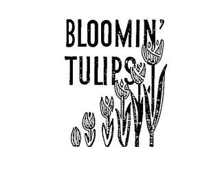 BLOOMIN' TULIPS