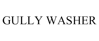 GULLY WASHER trademark