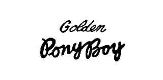 GOLDEN PONY BOY