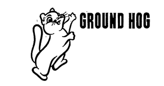 GROUND HOG