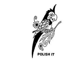 POLISH IT