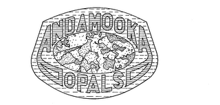 ANDAMOOKA OPALS