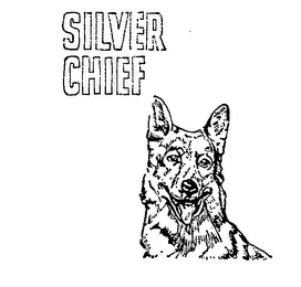 SILVER CHIEF