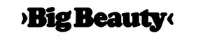 BIG BEAUTY trademark