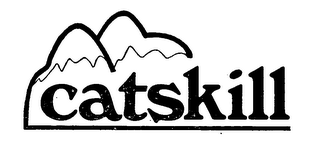 CATSKILL trademark