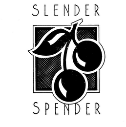 SLENDER SPENDER