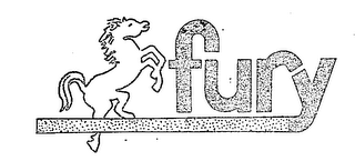 FURY