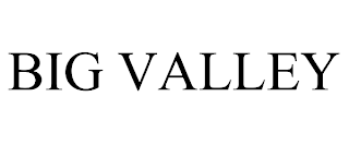 BIG VALLEY trademark
