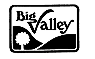 BIG VALLEY