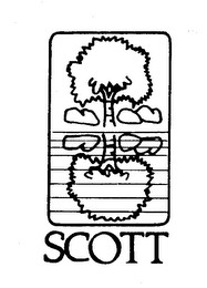 SCOTT