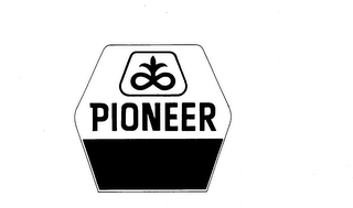 PIONEER trademark