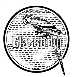 GLASSODUR trademark