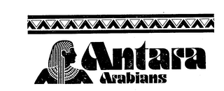 ANTARA ARABIANS