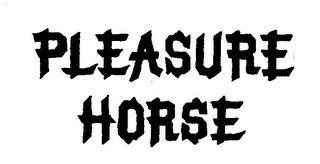 PLEASURE HORSE