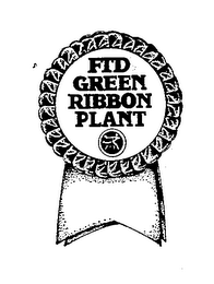 FTD GREEN RIBBON PLANT