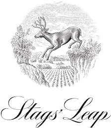 STAGS' LEAP