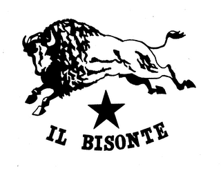 IL BISONTE