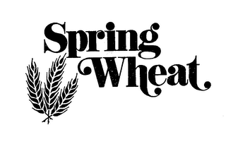 SPRING WHEAT