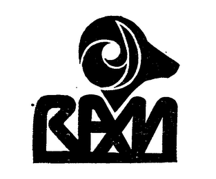 RAM