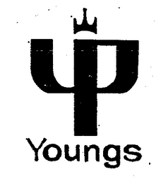 YOUNGS YP