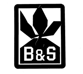 B & S