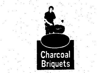 CHARCOAL BRIQUETS