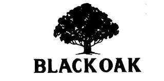 BLACK OAK trademark
