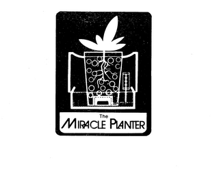 THE MIRACLE PLANTER