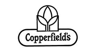 COPPERFIELD'S