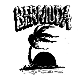 BERMUDA trademark