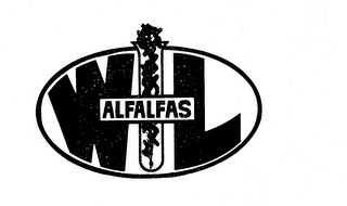 WL ALFALFAS