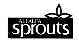 ALFALFA SPROUTS