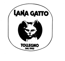 LANA GATTO TOLLEGNO DAL 1900