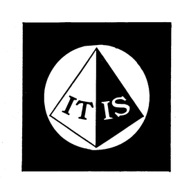 IT IS trademark
