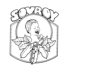 SOYBOY trademark
